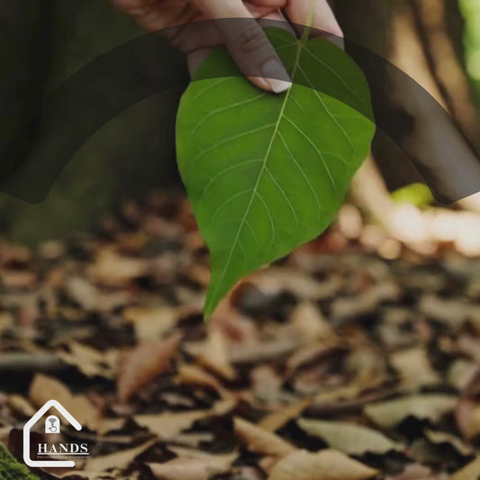 MicroVerse Pro 500X Digital Pocket Microscope – 2MP Macro Lens, 2" IPS Display, 8 LED Lights, Photo & Video Capture, USB Rechargeable, for Students & Professionals